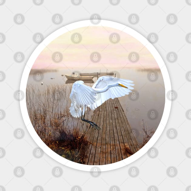 Great White Heron Landing Magnet by lauradyoung